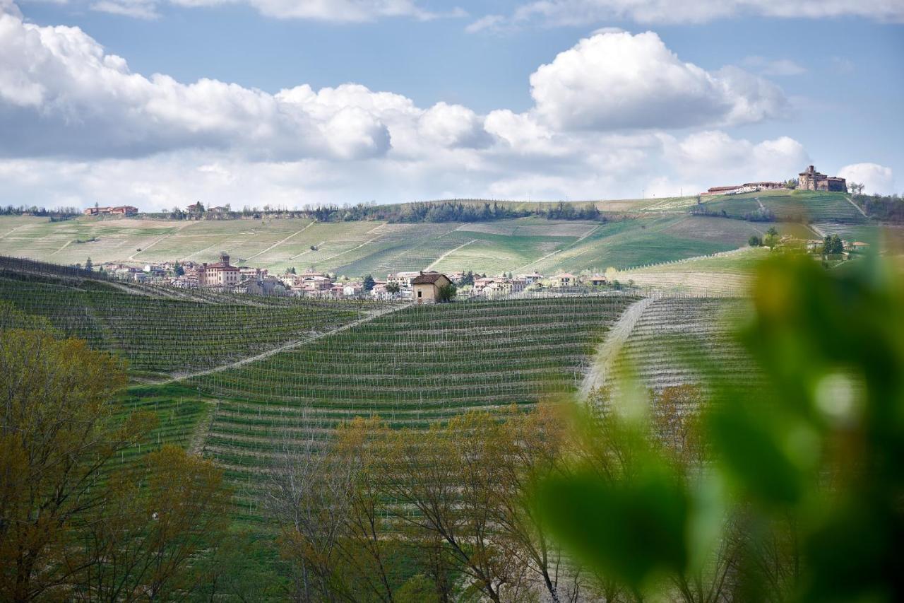 Maison d'hôtes Agriturismo Cascina Sciulun à Monforte dʼAlba Extérieur photo