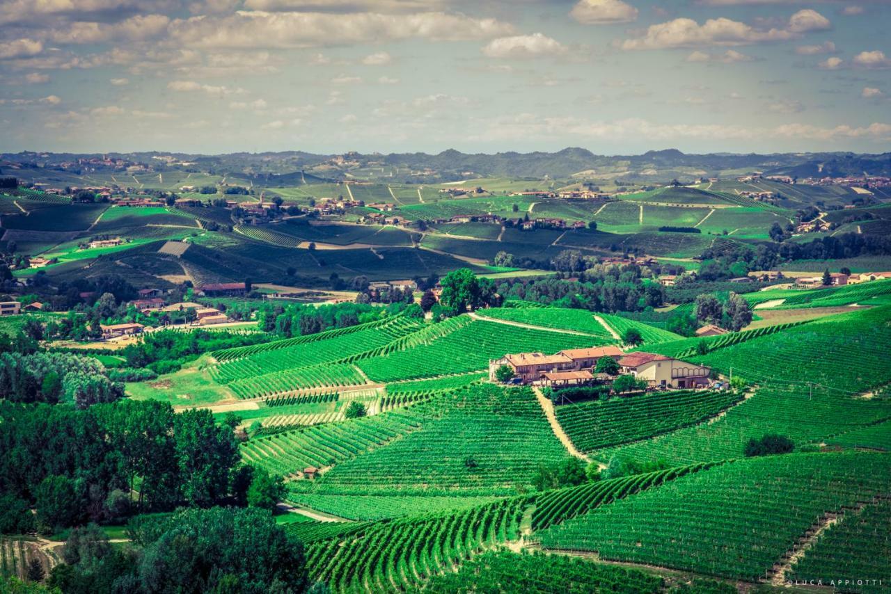 Maison d'hôtes Agriturismo Cascina Sciulun à Monforte dʼAlba Extérieur photo